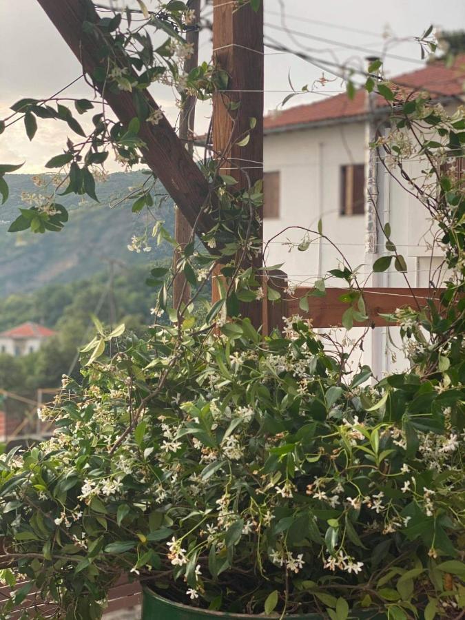 Karavos Hotel Portariá Eksteriør billede